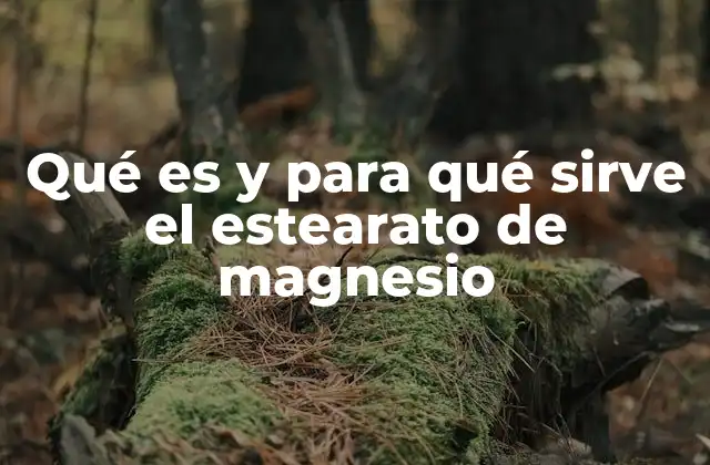 Qué es y para Qué Sirve el Estearato de Magnesio