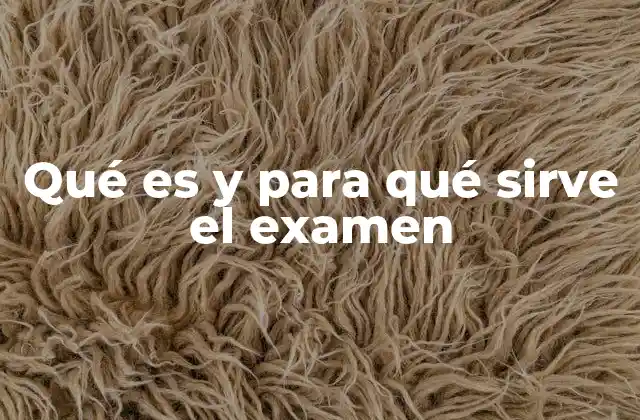 Qué es y para Qué Sirve el Examen