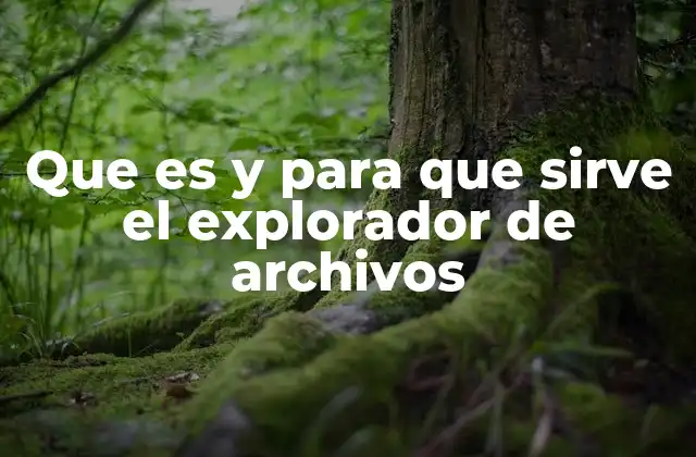 Que es y para que Sirve el Explorador de Archivos
