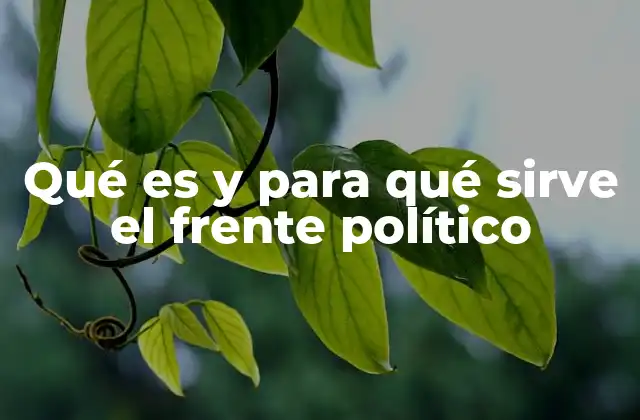 Qué es y para Qué Sirve el Frente Político