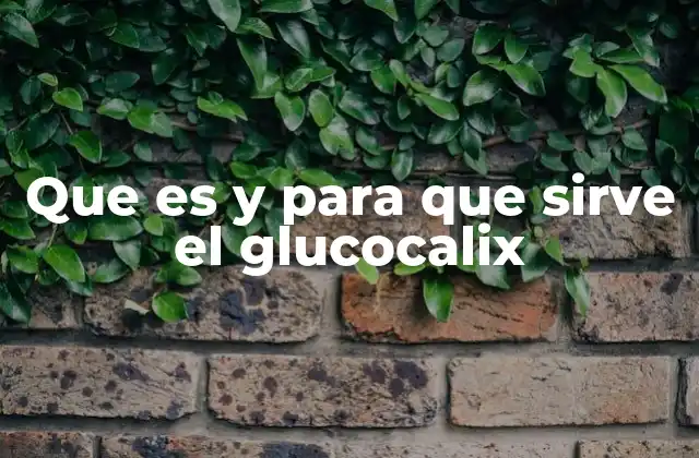 Que es y para que Sirve el Glucocalix
