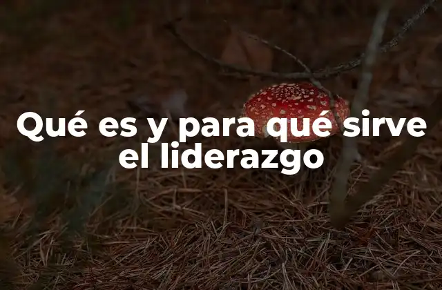 Qué es y para Qué Sirve el Liderazgo