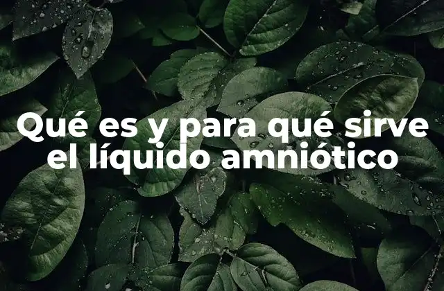 Qué es y para Qué Sirve el Líquido Amniótico