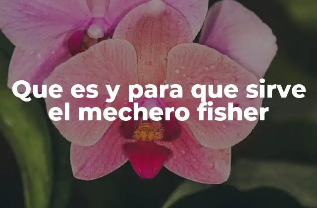 Que es y para que Sirve el Mechero Fisher