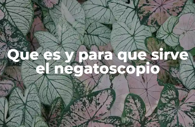 Que es y para que Sirve el Negatoscopio