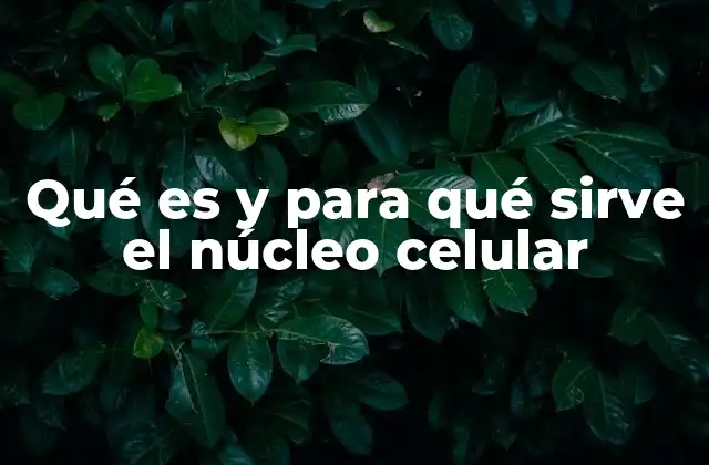 La estructura interna del núcleo celular