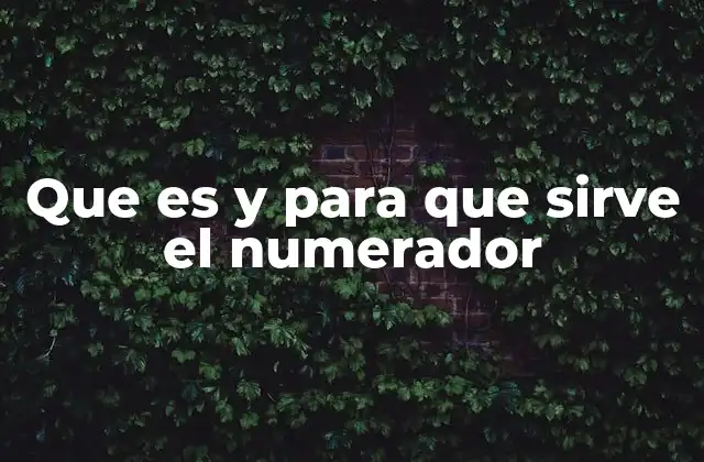 Que es y para que Sirve el Numerador