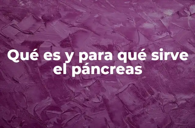 Qué es y para Qué Sirve el Páncreas