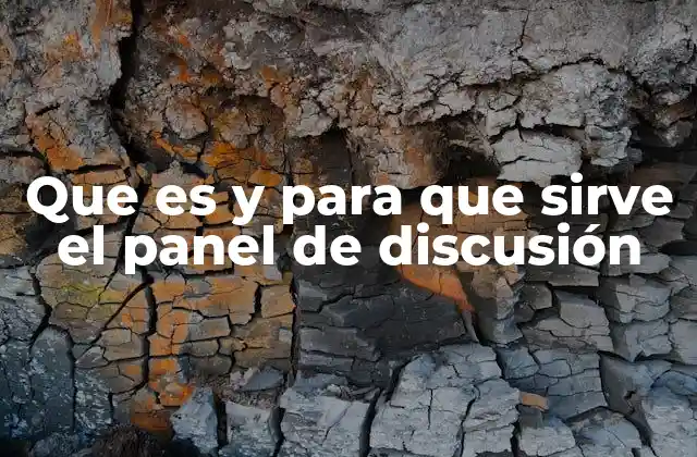 Que es y para que Sirve el Panel de Discusión