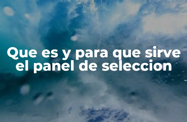 Que es y para que Sirve el Panel de Seleccion