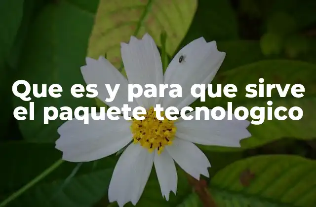 Que es y para que Sirve el Paquete Tecnologico