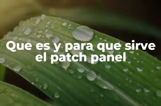 Que es y para que Sirve el Patch Panel