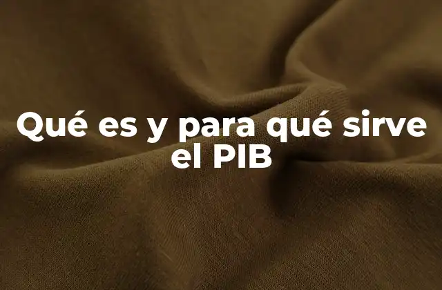 Qué es y para Qué Sirve el Pib