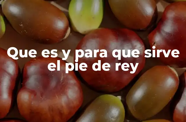 Que es y para que Sirve el Pie de Rey