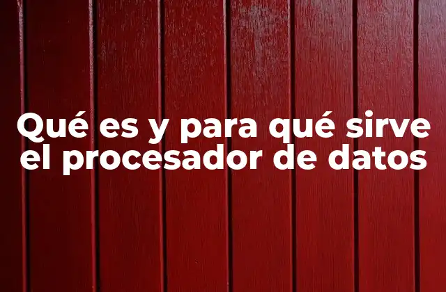 Qué es y para Qué Sirve el Procesador de Datos