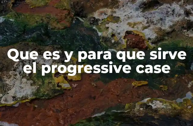Que es y para que Sirve el Progressive Case