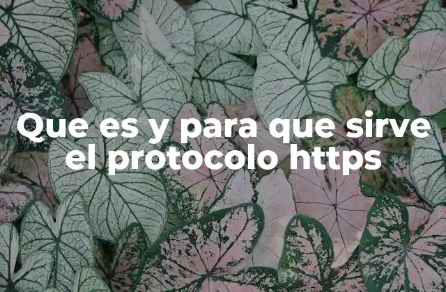 Que es y para que Sirve el Protocolo Https 2 La importancia de la seguridad en las conexiones web