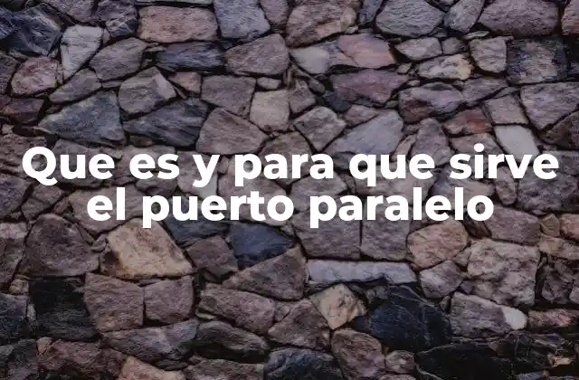 Que es y para que Sirve el Puerto Paralelo