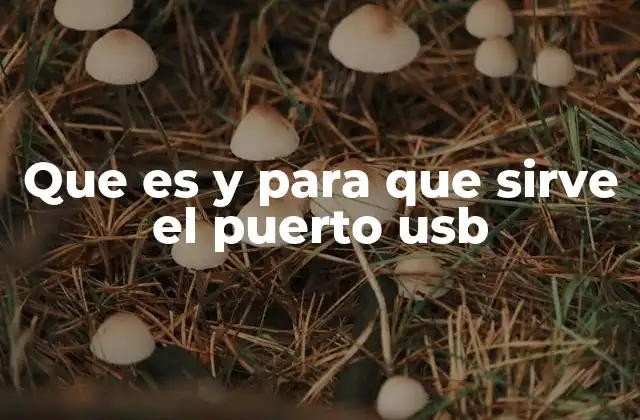 Que es y para que Sirve el Puerto Usb