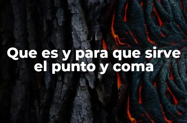 Que es y para que Sirve el Punto y Coma