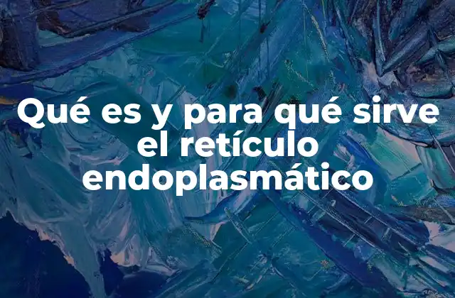 Qué es y para Qué Sirve el Retículo Endoplasmático
