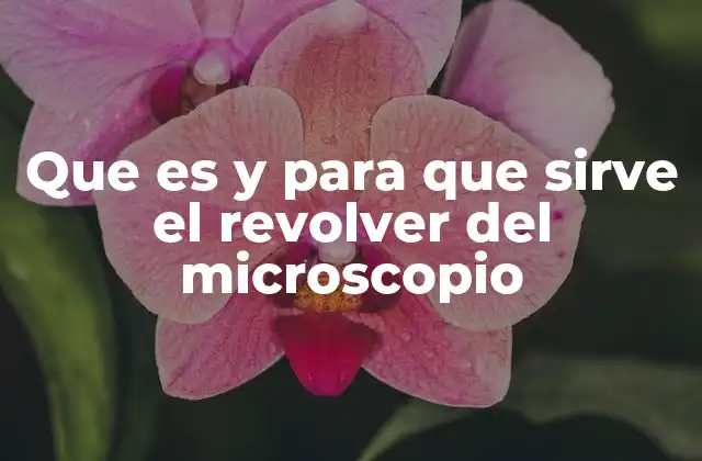Que es y para que Sirve el Revolver Del Microscopio