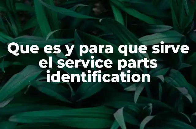 Que es y para que Sirve el Service Parts Identification
