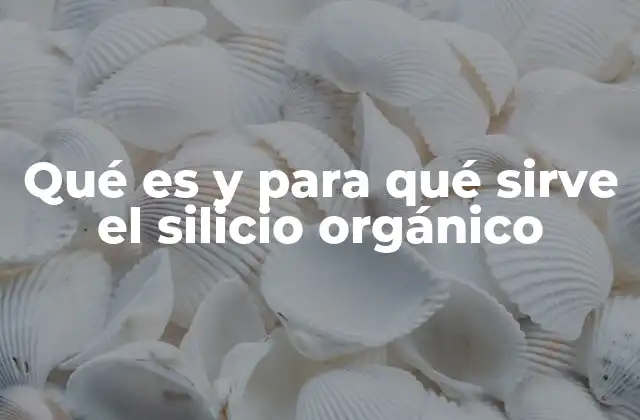 Qué es y para Qué Sirve el Silicio Orgánico 2 El papel del silicio en la química moderna