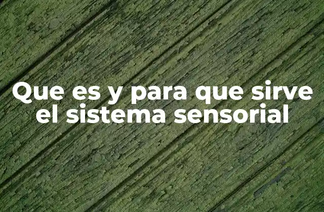 Que es y para que Sirve el Sistema Sensorial
