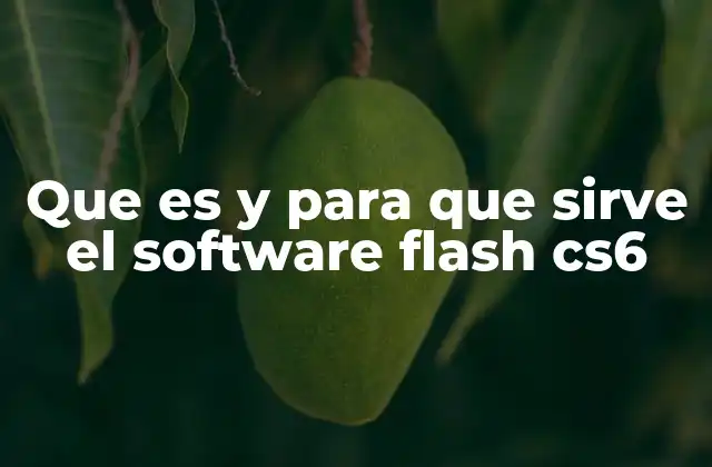 Que es y para que Sirve el Software Flash Cs6
