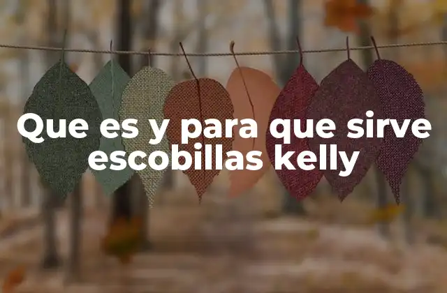 Que es y para que Sirve Escobillas Kelly