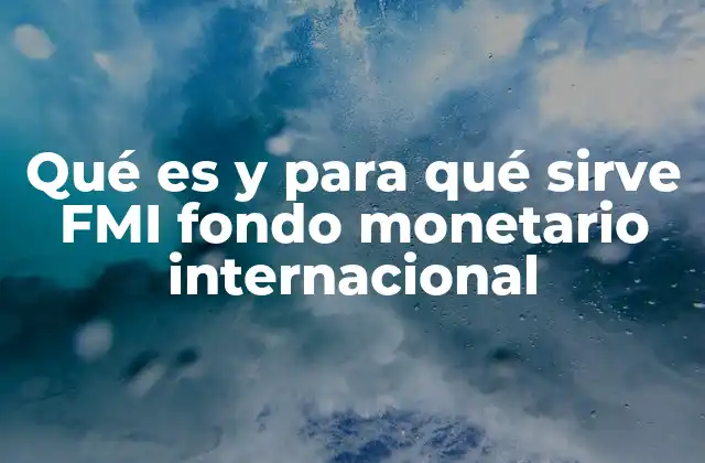 Qué es y para Qué Sirve Fmi Fondo Monetario Internacional