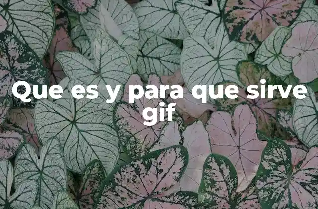 Que es y para que Sirve Gif 2 GIFs y la comunicación visual en el entorno digital