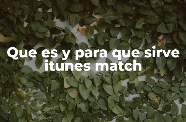 Que es y para que Sirve Itunes Match