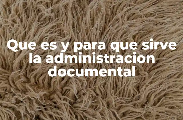 Que es y para que Sirve la Administracion Documental 2 La importancia de organizar la información en el entorno corporativo