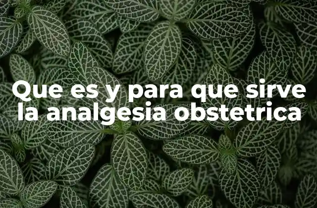 Que es y para que Sirve la Analgesia Obstetrica