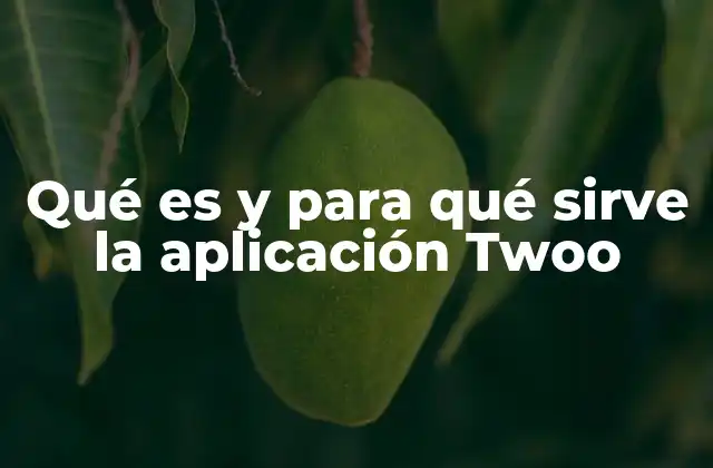 Qué es y para Qué Sirve la Aplicación Twoo