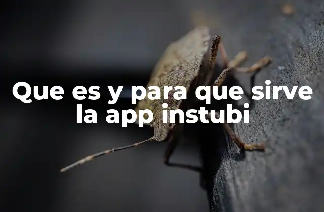 Que es y para que Sirve la App Instubi