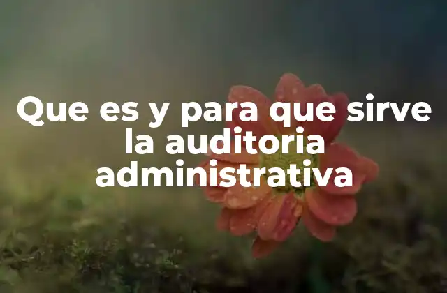 Que es y para que Sirve la Auditoria Administrativa