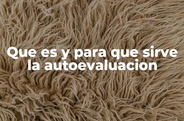 Que es y para que Sirve la Autoevaluacion