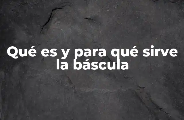 Qué es y para Qué Sirve la Báscula 2 El papel de la báscula en la vida moderna