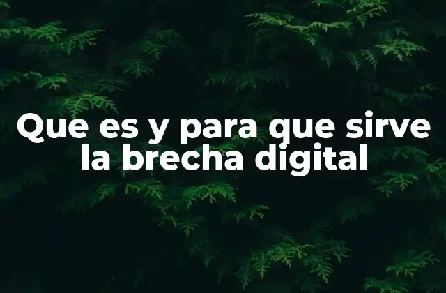 Que es y para que Sirve la Brecha Digital