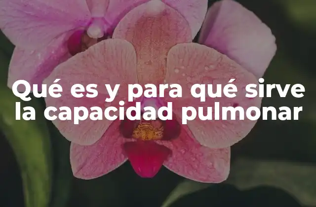 Qué es y para Qué Sirve la Capacidad Pulmonar