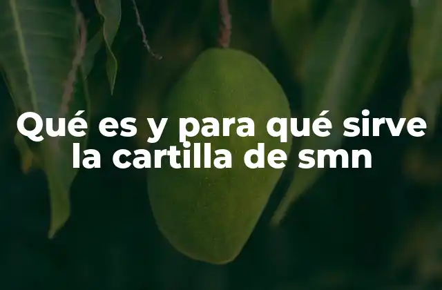 Qué es y para Qué Sirve la Cartilla de Smn