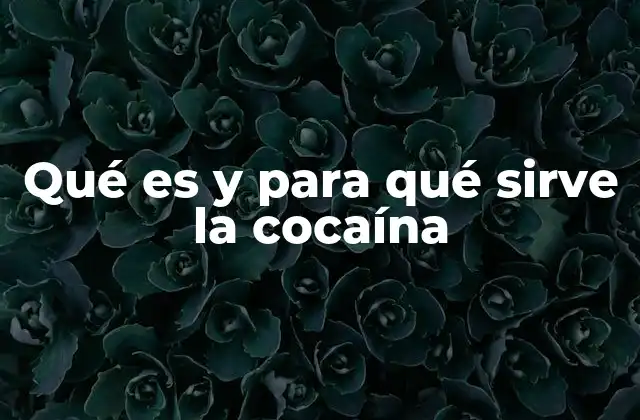 Qué es y para Qué Sirve la Cocaína