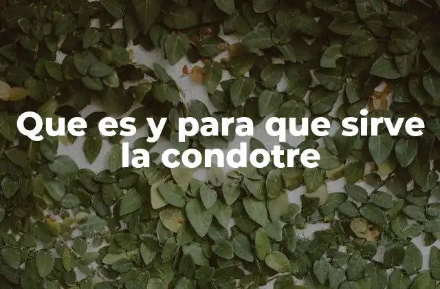 Que es y para que Sirve la Condotre