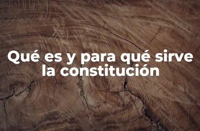 El papel de la constitución en la organización del Estado