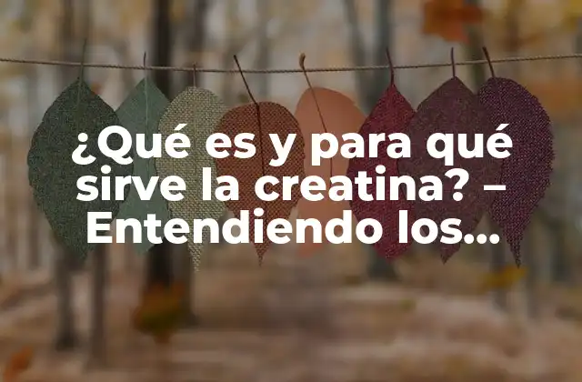 ¿qué es y para Qué Sirve la Creatina? – Entendiendo los Beneficios de Este Suplemento para el Entrenamiento Físico