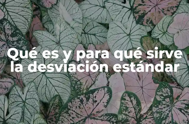 Qué es y para Qué Sirve la Desviación Estándar