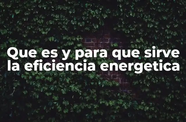 Que es y para que Sirve la Eficiencia Energetica